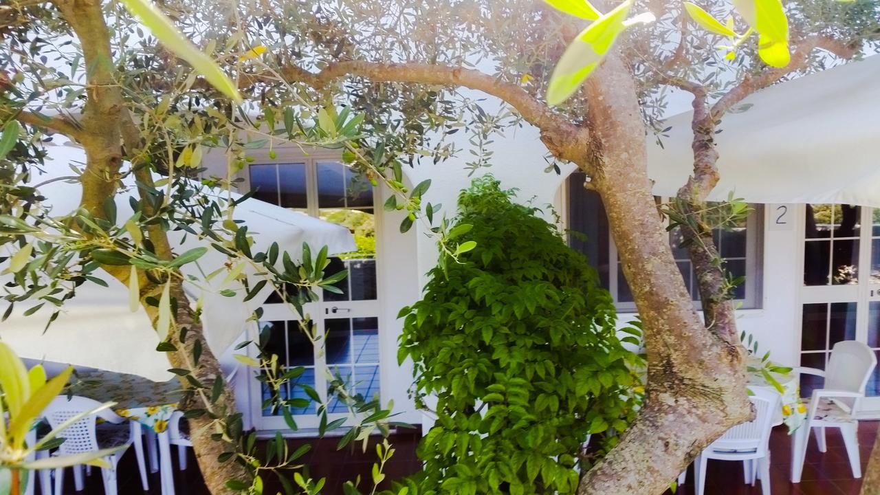 Appartamenti Luongo Forio  Exterior photo